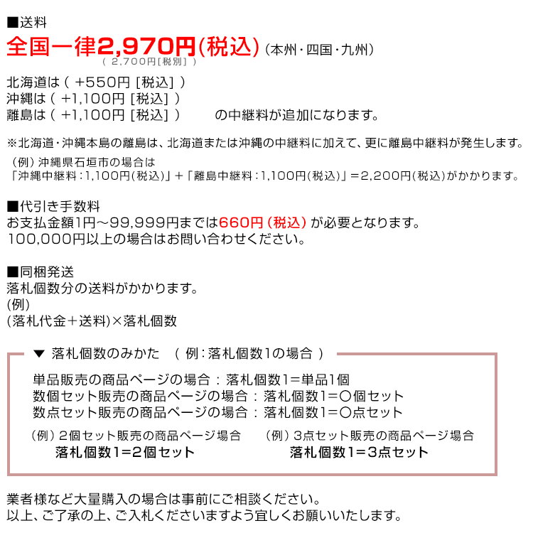 電源インバーター DC24V → AC100V 修正波 定格3000w 最大6000w 車載